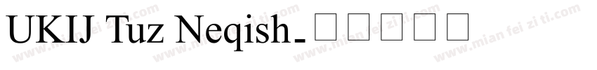 UKIJ Tuz Neqish字体转换